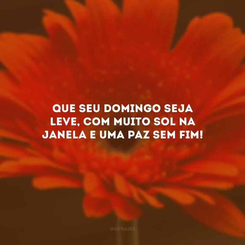 Que seu domingo seja leve, com muito sol na janela e uma paz sem fim!