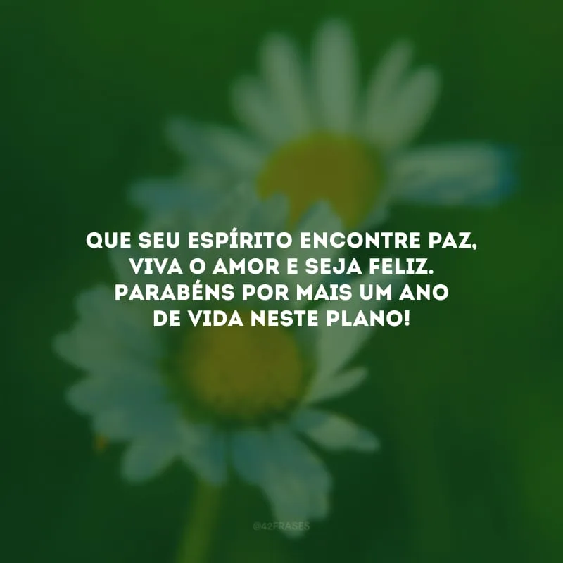 Que seu espírito encontre paz, viva o amor e seja feliz. Parabéns por mais um ano de vida neste plano!