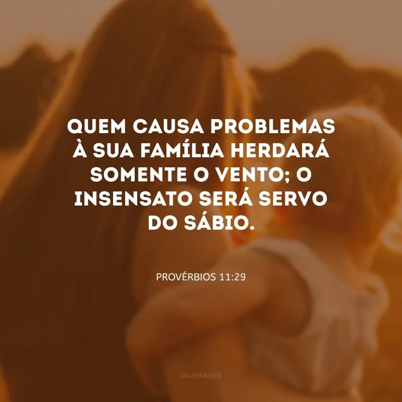 Quem causa problemas à sua família herdará somente o vento; o insensato será servo do sábio.