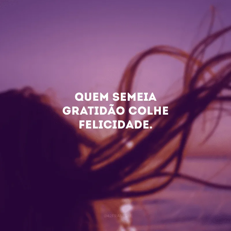Quem semeia gratidão colhe felicidade. 