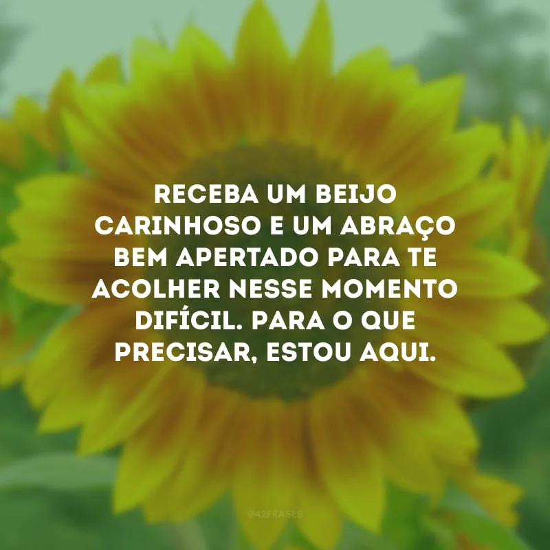 Receba um beijo carinhoso e um abraço bem apertado para te acolher nesse momento difícil. Para o que precisar, estou aqui.