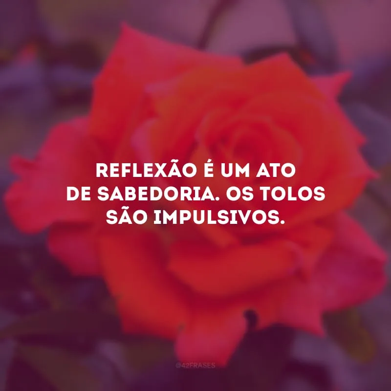 Reflexão é um ato de sabedoria. Os tolos são impulsivos. 