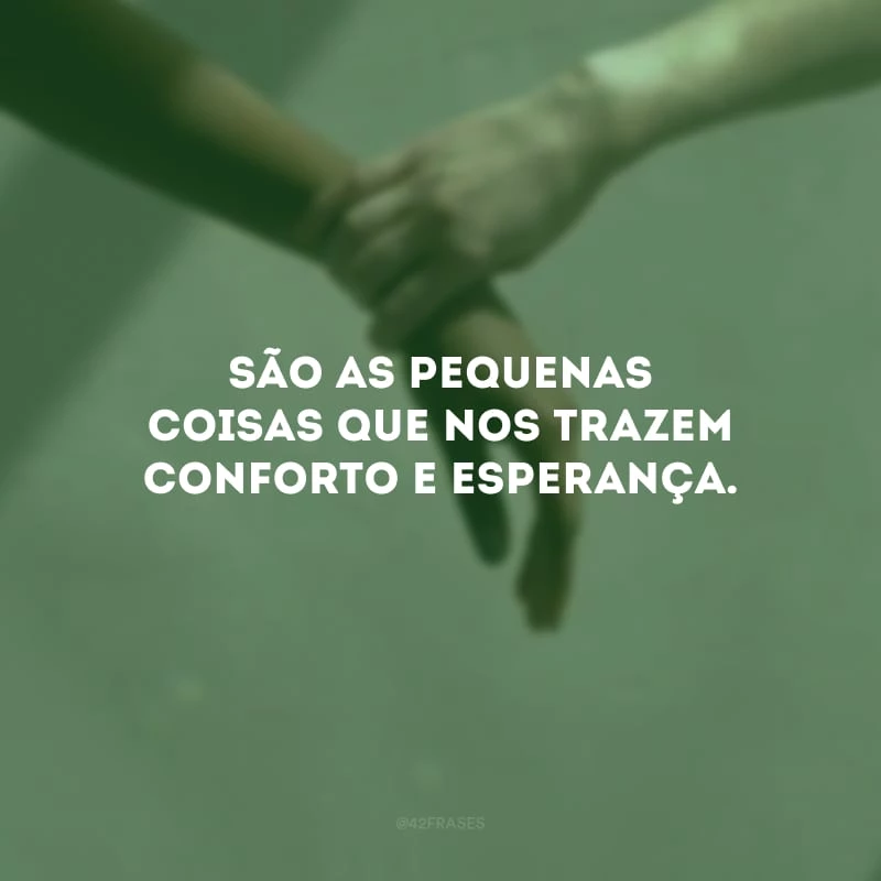 São as pequenas coisas que nos trazem conforto e esperança. 
