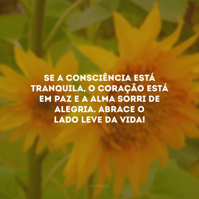 Se a consciência está tranquila, o coração está em paz e a alma sorri de alegria. Abrace o lado leve da vida!