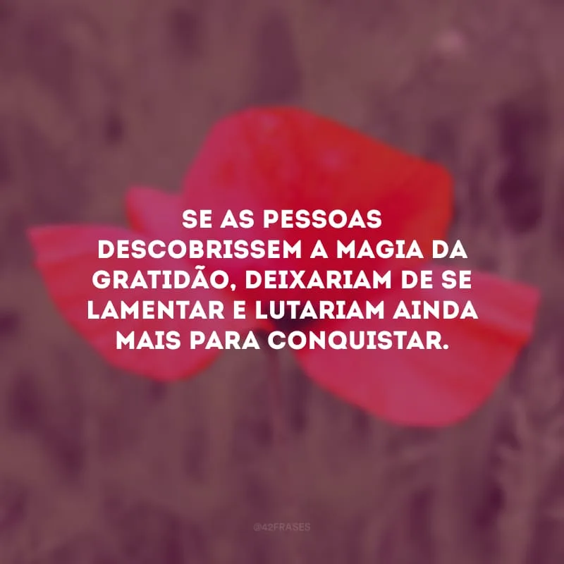 Se as pessoas descobrissem a magia da gratidão, deixariam de se lamentar e lutariam ainda mais para conquistar. 