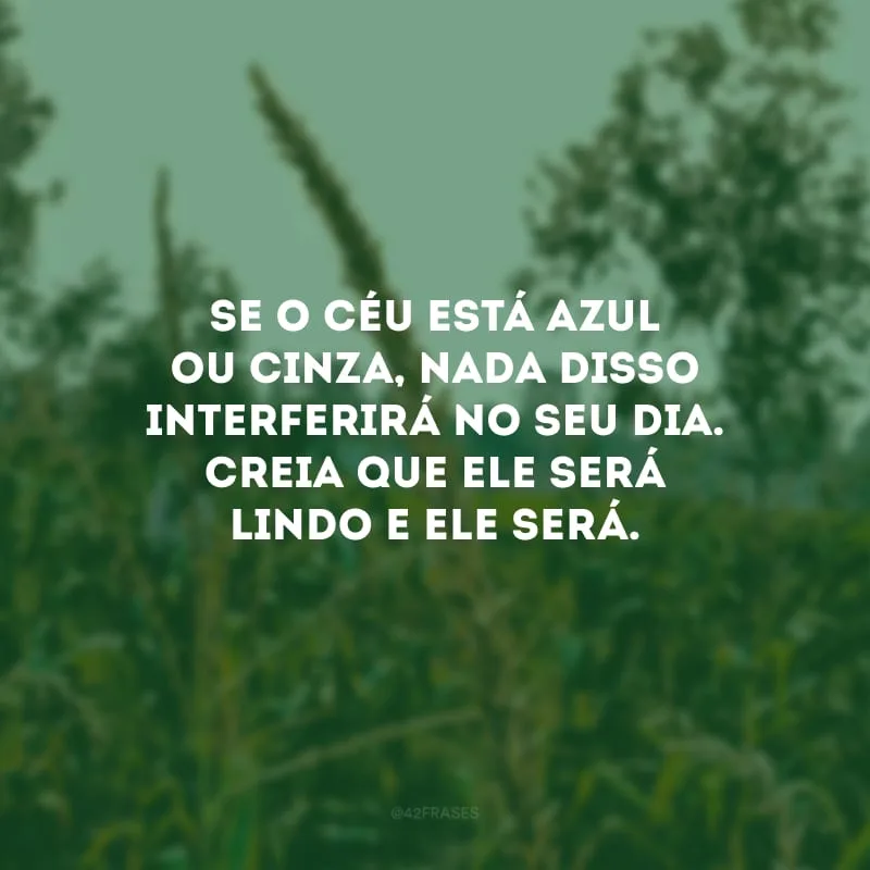 Se o céu está azul ou cinza, nada disso interferirá no seu dia. Creia que ele será lindo e ele será.