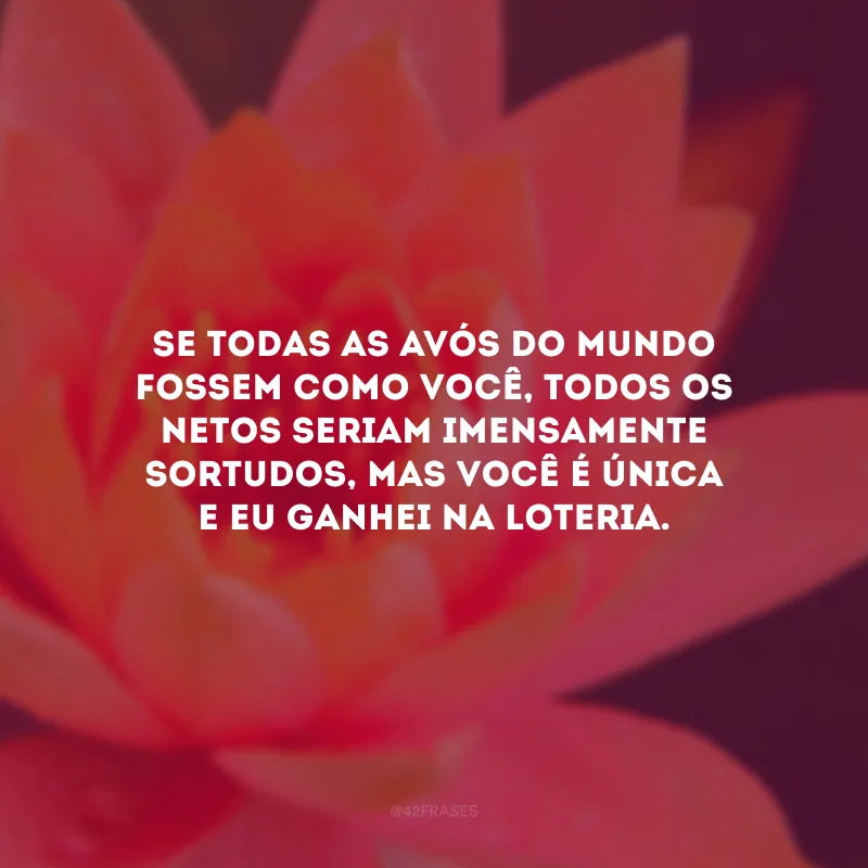 Se todas as avós do mundo fossem como você, todos os netos seriam imensamente sortudos, mas você é única e eu ganhei na loteria.