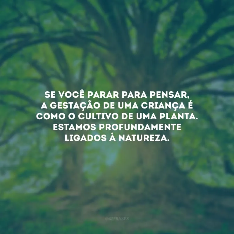 Se você parar para pensar, a gestação de uma criança é como o cultivo de uma planta. Estamos profundamente ligados à natureza.