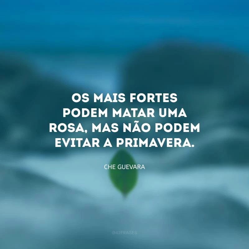 Os mais fortes podem matar uma rosa, mas não podem evitar a primavera.