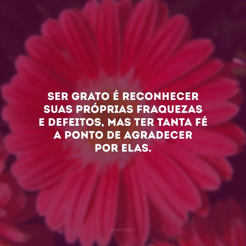 Ser grato é reconhecer suas próprias fraquezas e defeitos, mas ter tanta fé a ponto de agradecer por elas. 