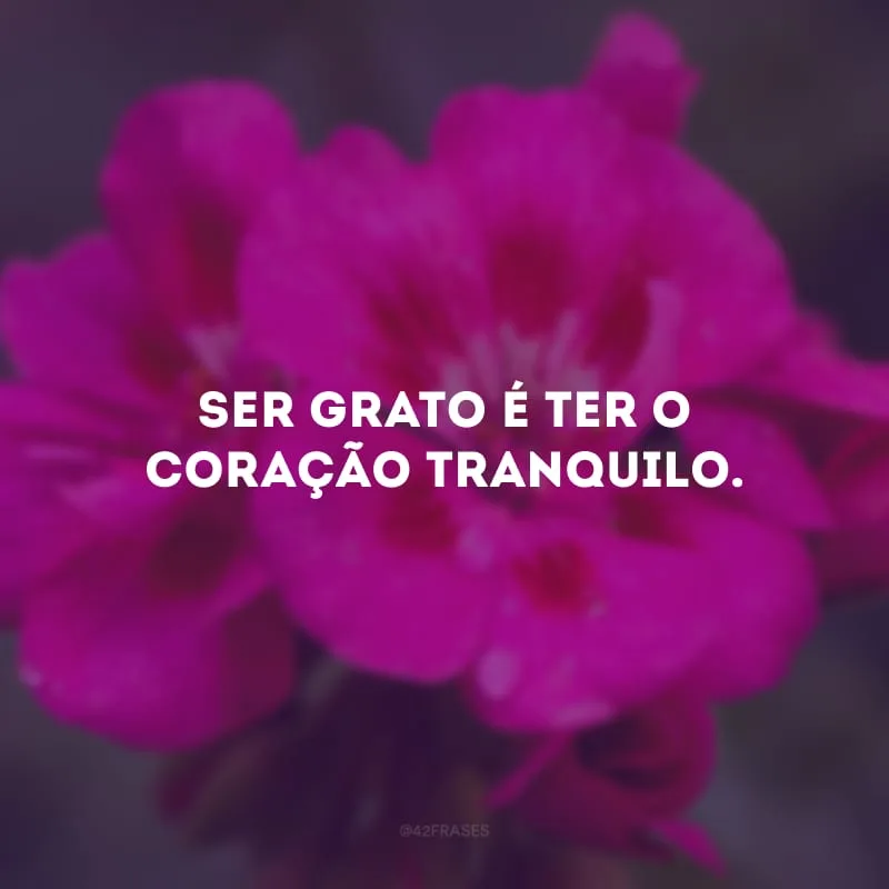 Ser grato é ter o coração tranquilo. 