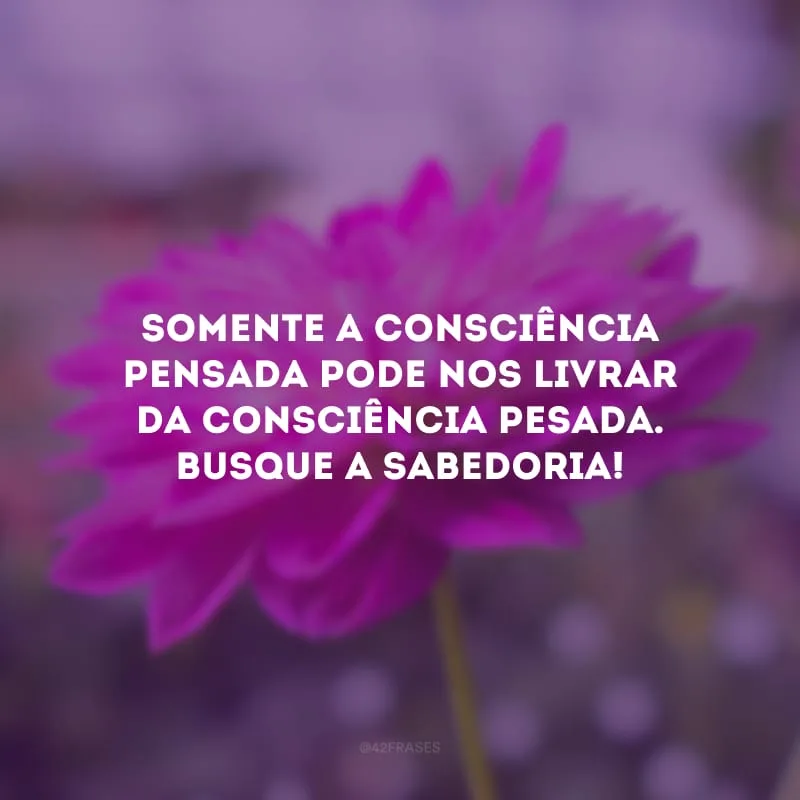 Somente a consciência pensada pode nos livrar da consciência pesada. Busque a sabedoria!