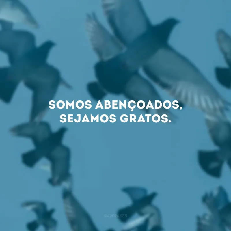 Somos abençoados, sejamos gratos.