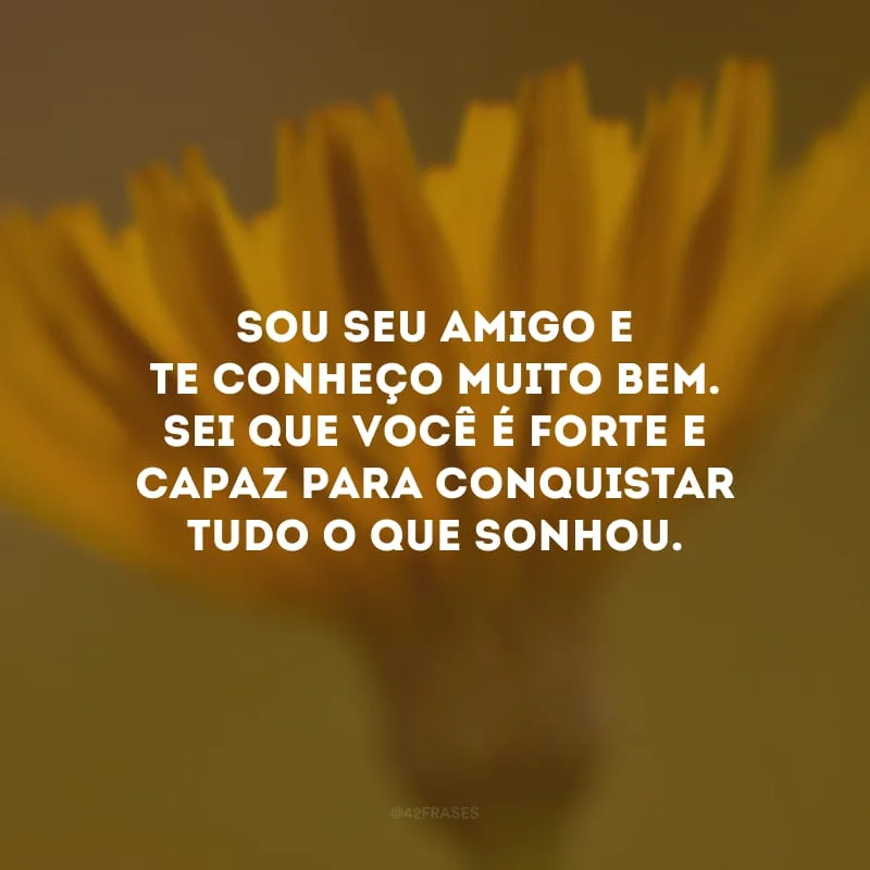 Sou seu amigo e te conheço muito bem. Sei que você é forte e capaz para conquistar tudo o que sonhou.