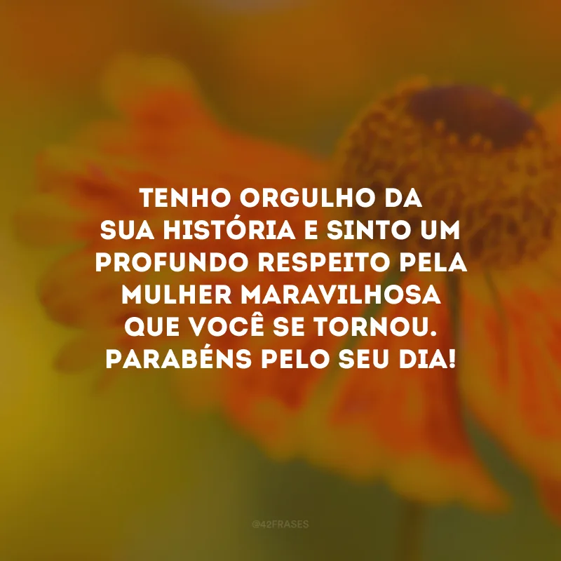 Tenho orgulho da sua história e sinto um profundo respeito pela mulher maravilhosa que você se tornou. Parabéns pelo seu dia!