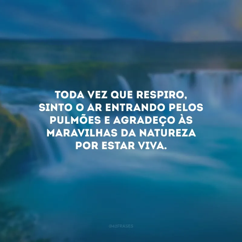 Toda vez que respiro, sinto o ar entrando pelos pulmões e agradeço às maravilhas da natureza por estar viva.