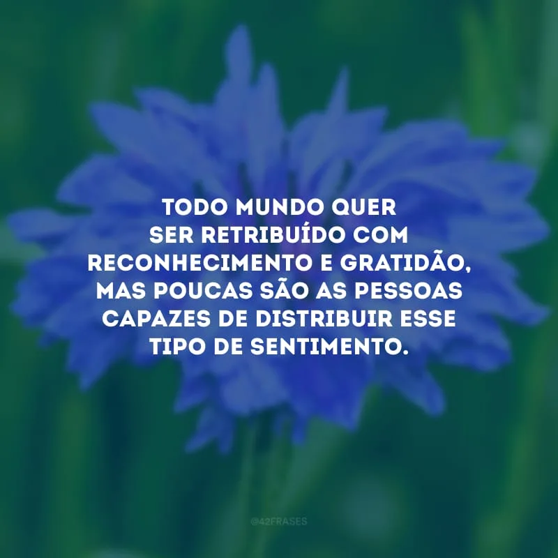 Todo mundo quer ser retribuído com reconhecimento e gratidão, mas poucas são as pessoas capazes de distribuir esse tipo de sentimento. 