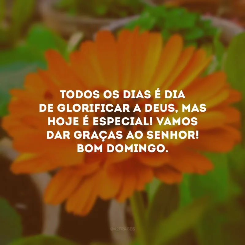 Todos os dias é dia de glorificar a Deus, mas hoje é especial! Vamos dar graças ao Senhor! Bom domingo. 