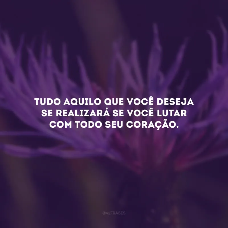 Tudo aquilo que você deseja se realizará se você lutar com todo seu coração.