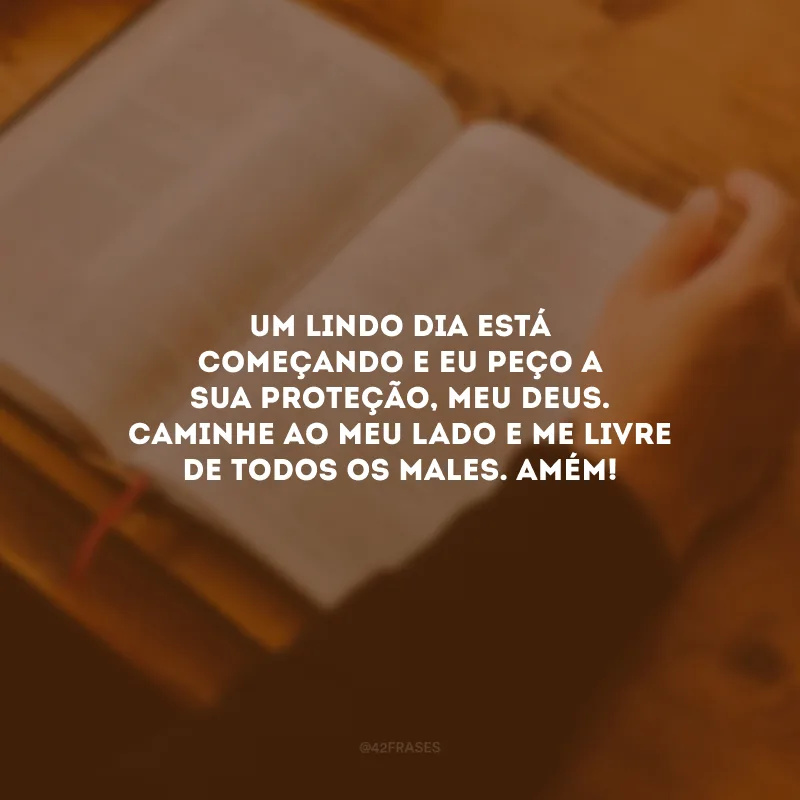 Um lindo dia está começando e eu peço a sua proteção, meu Deus. Caminhe ao meu lado e me livre de todos os males. Amém!