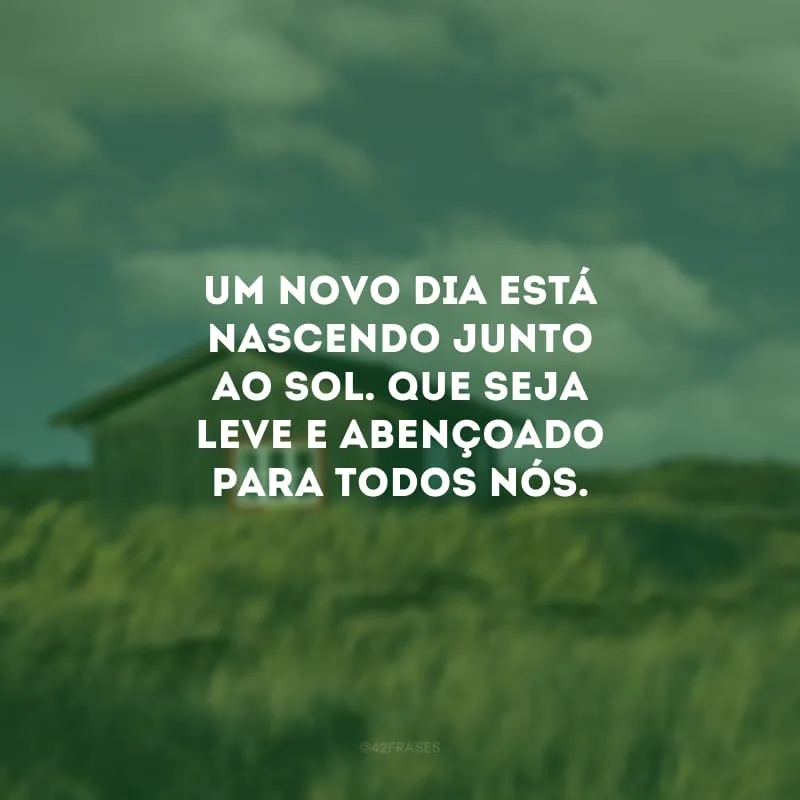 Um novo dia está nascendo junto ao sol. Que seja leve e abençoado para todos nós.
