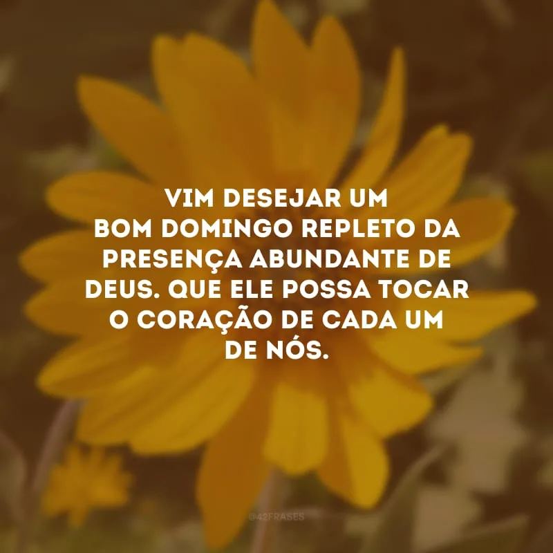 Vim desejar um bom domingo repleto da presença abundante de Deus. Que Ele possa tocar o coração de cada um de nós. 
