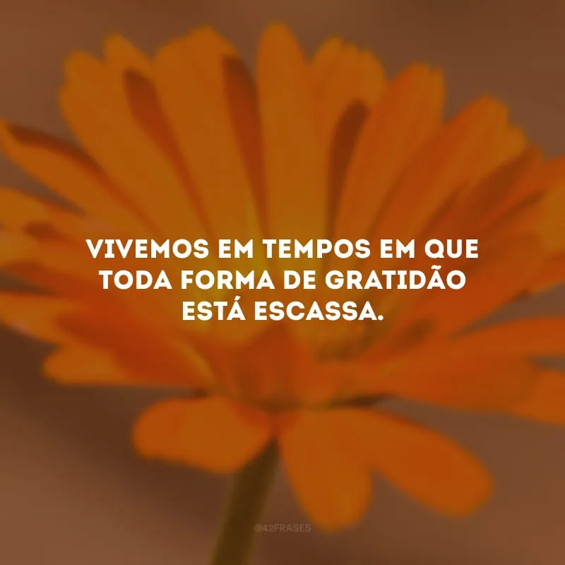 Vivemos em tempos em que toda forma de gratidão está escassa. 