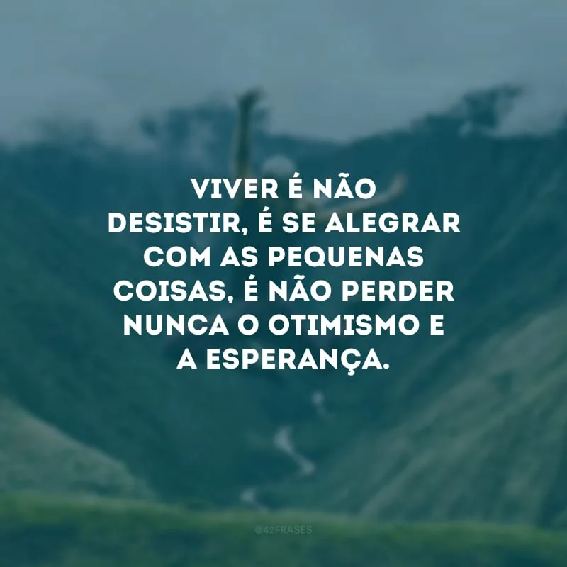 Viver é não desistir, é se alegrar com as pequenas coisas, é não perder nunca o otimismo e a esperança.