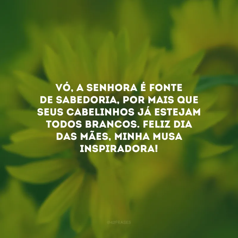Vó, a senhora é fonte de sabedoria, por mais que seus cabelinhos já estejam todos brancos. Feliz Dia das Mães, minha musa inspiradora!
