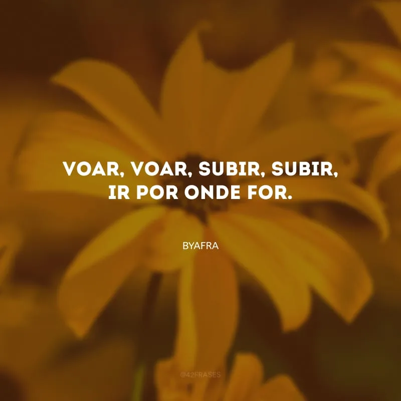 Voar, voar, subir, subir, ir por onde for.