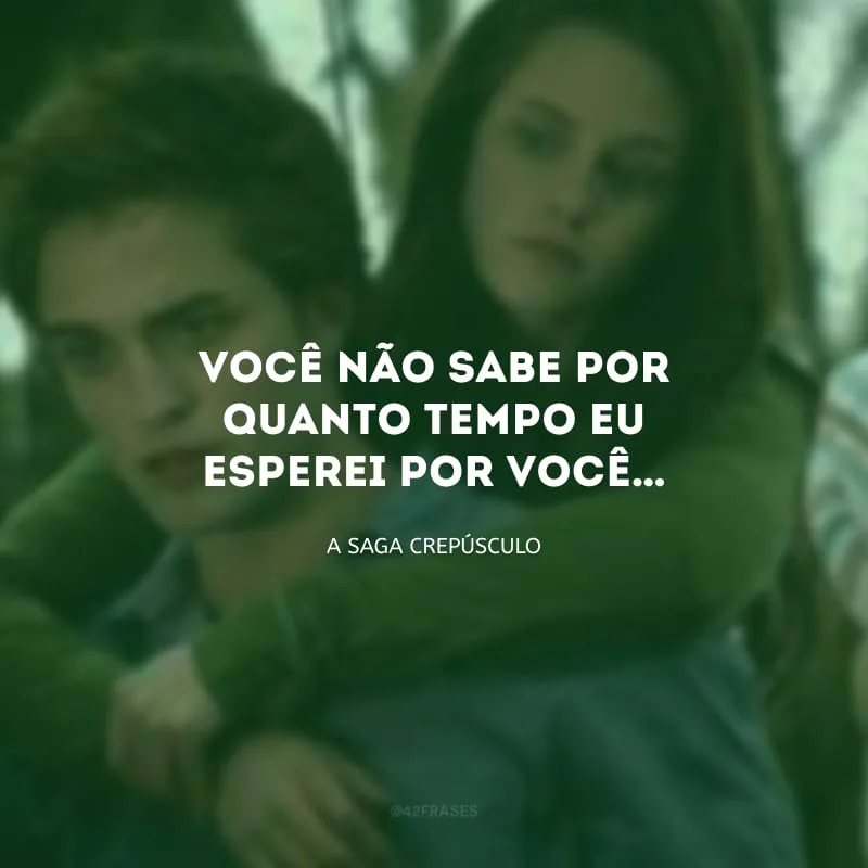 Você não sabe por quanto tempo eu esperei por você…