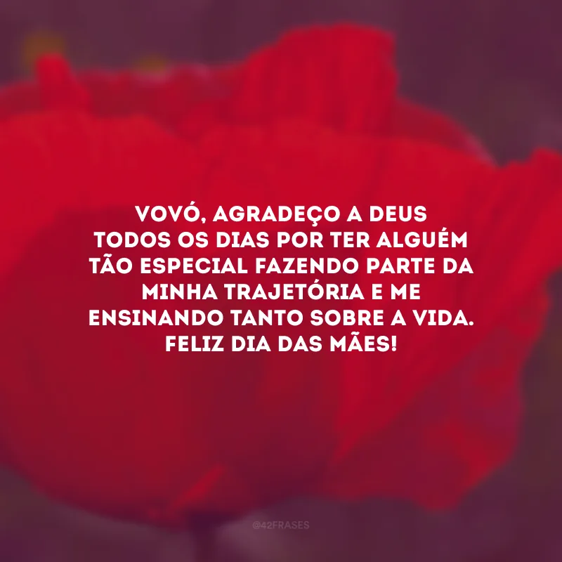Vovó, agradeço a Deus todos os dias por ter alguém tão especial fazendo parte da minha trajetória e me ensinando tanto sobre a vida. Feliz Dia das Mães! 