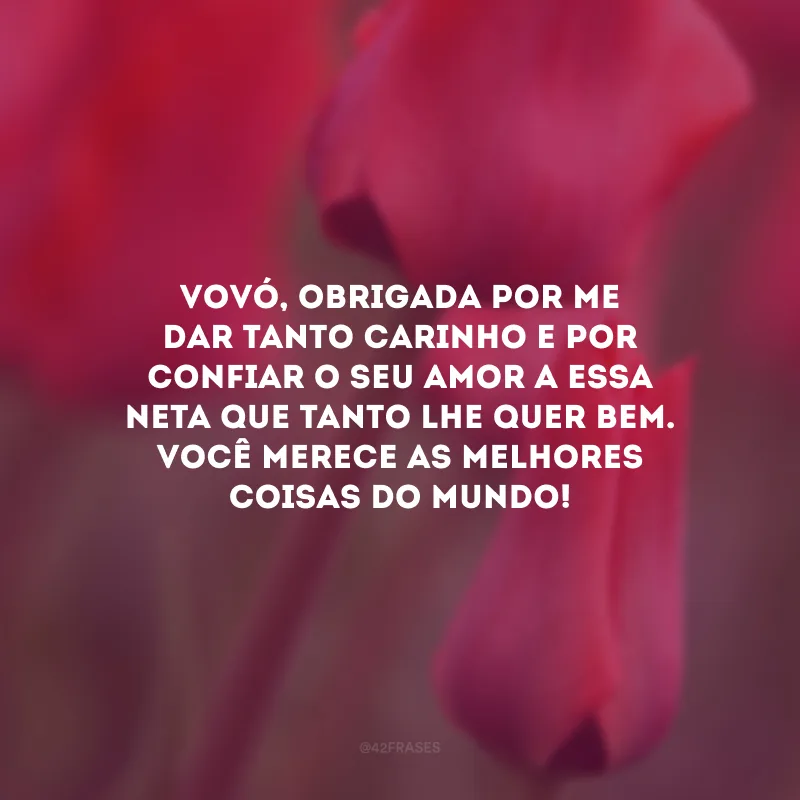 Vovó, obrigada por me dar tanto carinho e por confiar o seu amor a essa neta que tanto lhe quer bem. Você merece as melhores coisas do mundo!