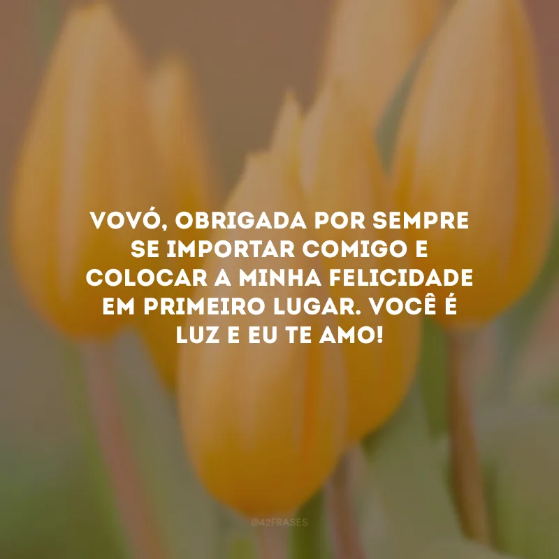 Vovó, obrigada por sempre se importar comigo e colocar a minha felicidade em primeiro lugar. Você é luz e eu te amo!