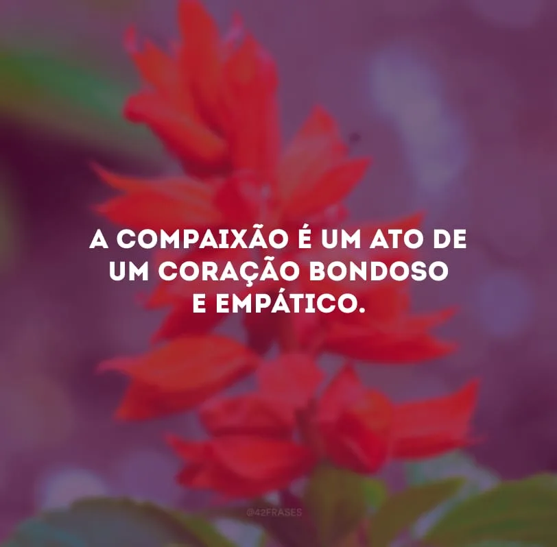 A compaixão é um ato de um coração bondoso e empático. 