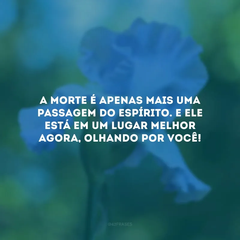 A morte é apenas mais uma passagem do espírito. E ele está em um lugar melhor agora, olhando por você!