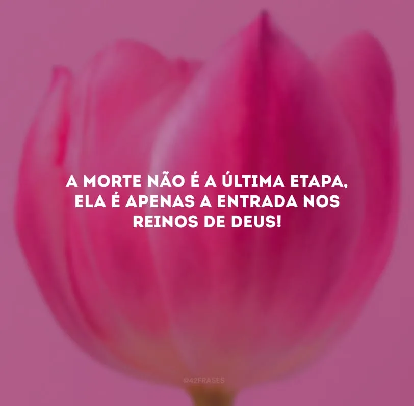 A morte não é a última etapa, ela é apenas a entrada nos reinos de Deus! 