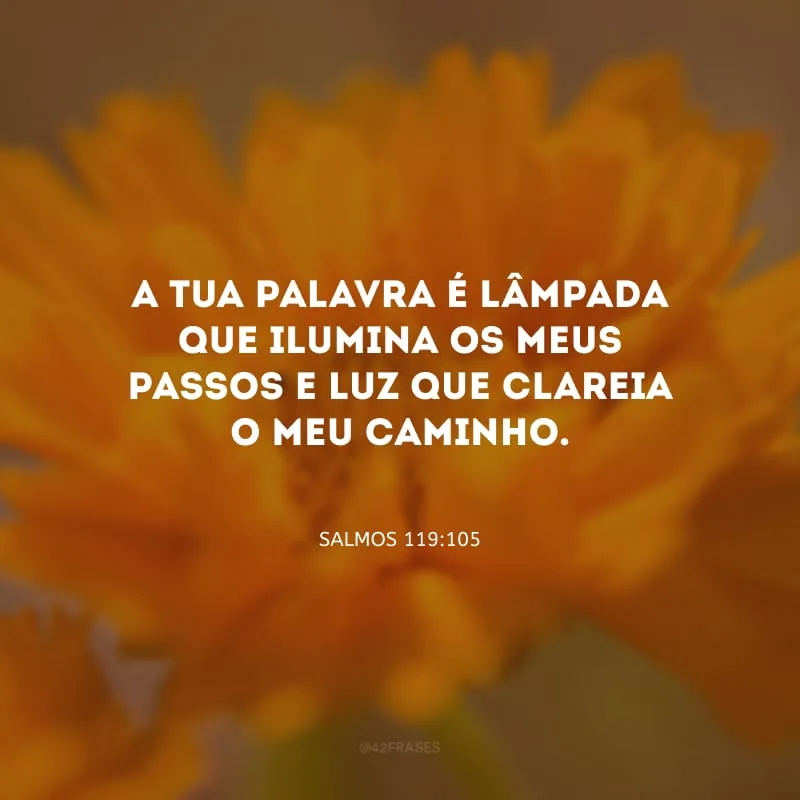 A tua palavra é lâmpada que ilumina os meus passos e luz que clareia o meu caminho.

