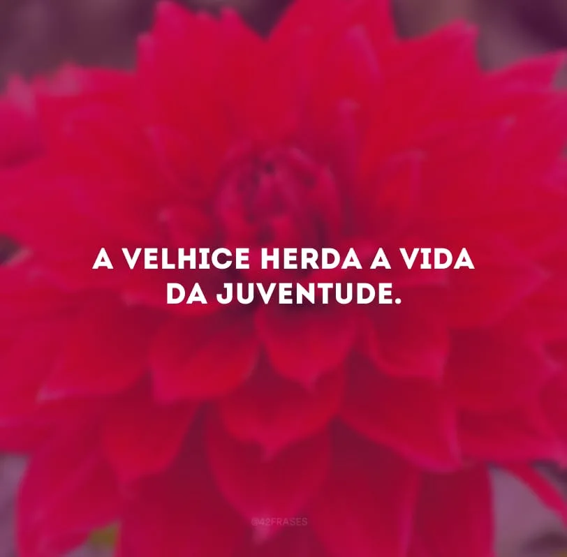 A velhice herda a vida da juventude.