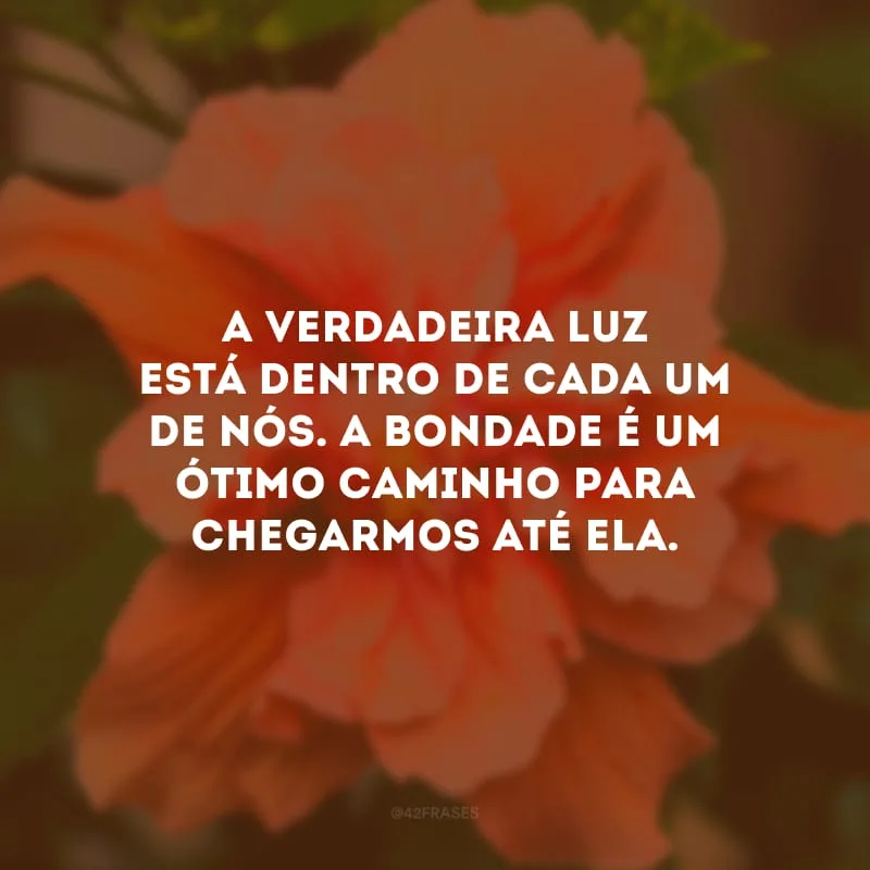A verdadeira luz está dentro de cada um de nós. A bondade é um ótimo caminho para chegarmos até ela. 