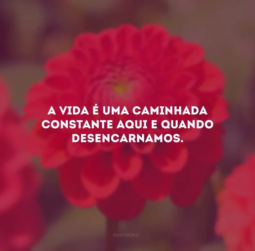 A vida é uma caminhada constante aqui e quando desencarnamos. 