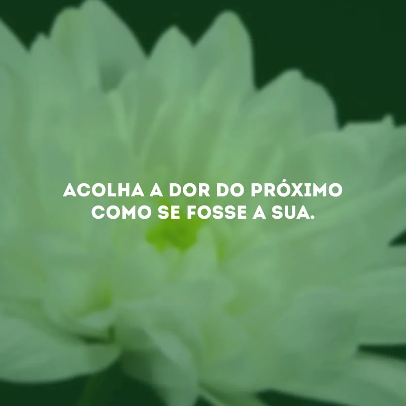 Acolha a dor do próximo como se fosse a sua. 