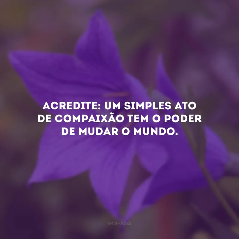 Acredite: um simples ato de compaixão tem o poder de mudar o mundo.