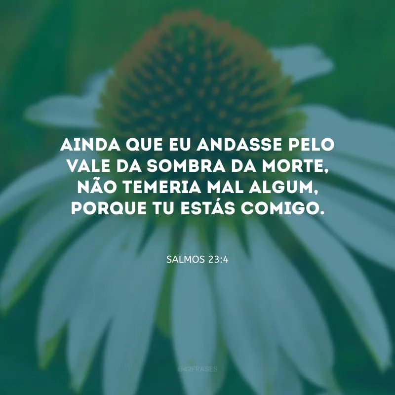 Ainda que eu andasse pelo vale da sombra da morte, não temeria mal algum, porque Tu estás comigo.

