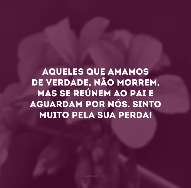 Aqueles que amamos de verdade, não morrem, mas se reúnem ao Pai e aguardam por nós. Sinto muito pela sua perda!