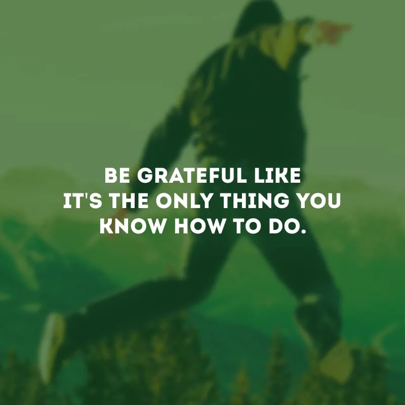 Be grateful like it\'s the only thing you know how to do.
(Seja grato como se essa fosse a única coisa que você sabe fazer.)