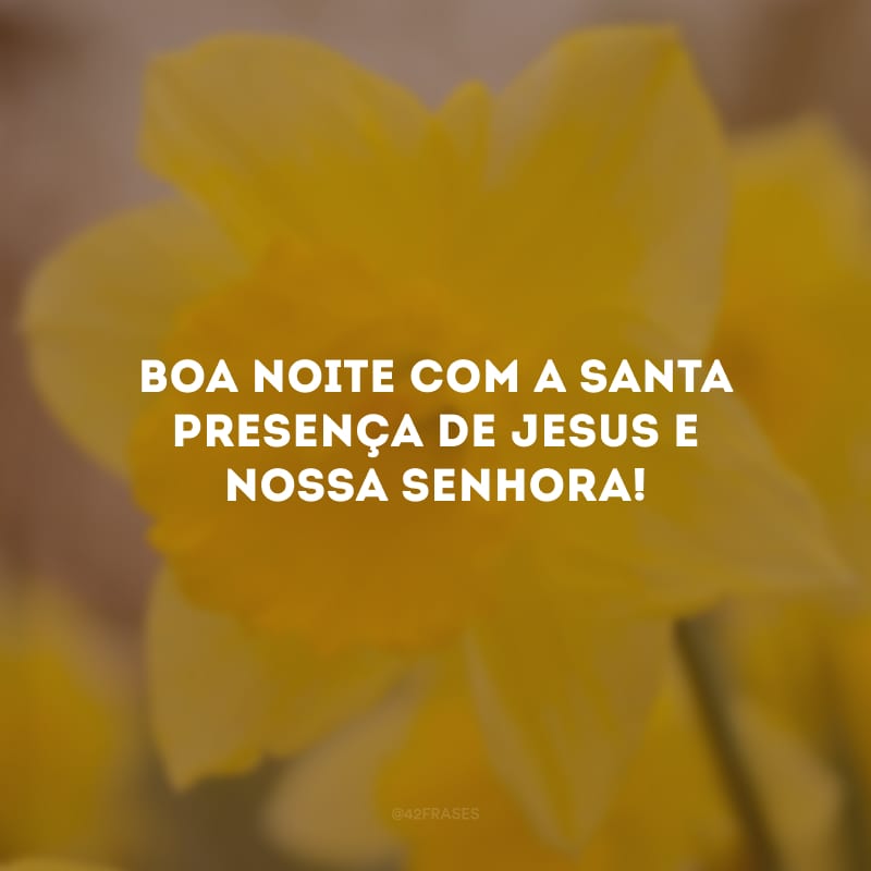 Boa noite com a santa presença de Jesus e Nossa Senhora! 