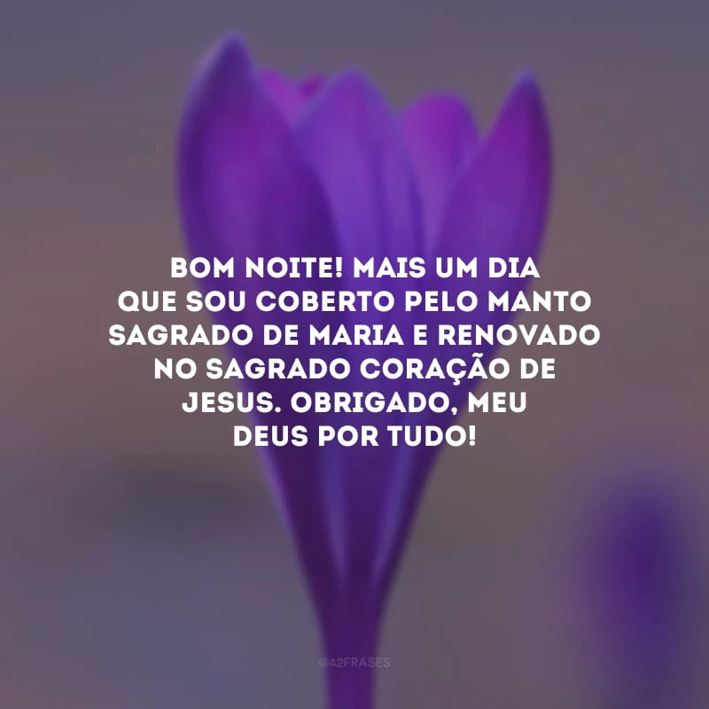 Bom noite! Mais um dia que sou coberto pelo manto sagrado de Maria e renovado no Sagrado Coração de Jesus. Obrigado, meu Deus por tudo! 