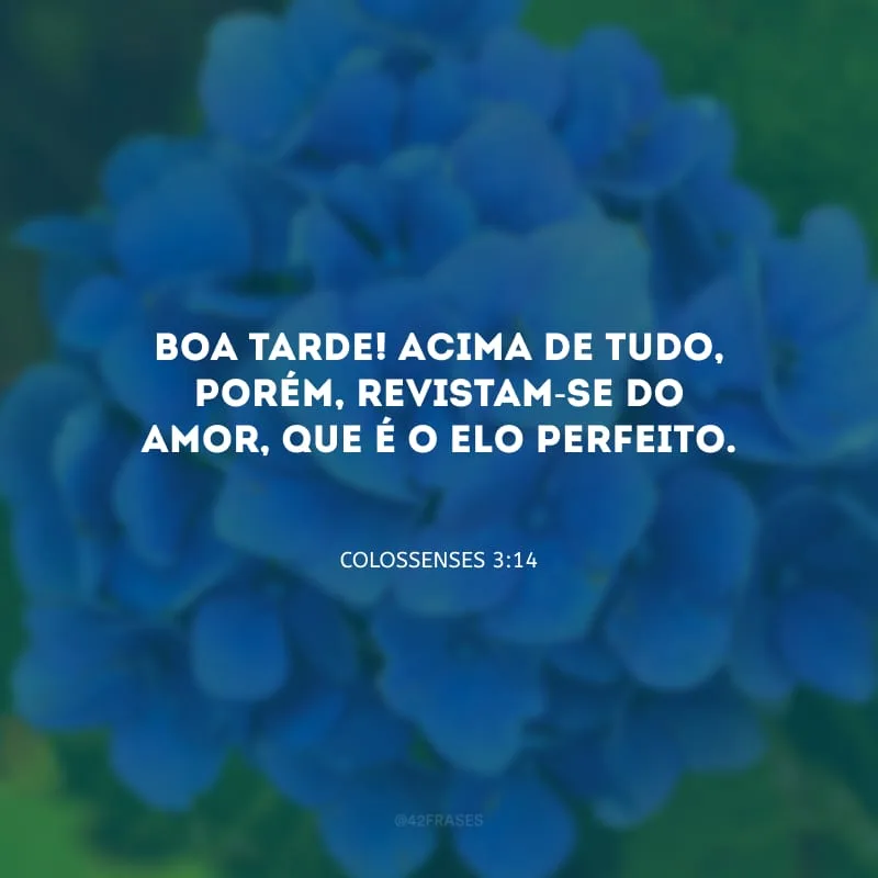 Boa tarde! Acima de tudo, porém, revistam-se do amor, que é o elo perfeito.
