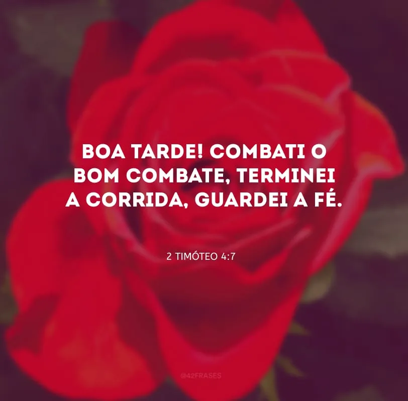 Boa tarde! Combati o bom combate, terminei a corrida, guardei a fé.
